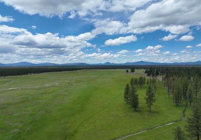 Five Cool Features of Paulina Creek Preserve