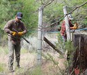 Fencing to Help Wildlife Thrive