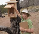 Kestrel Monitoring, Not for the Faint of Heart