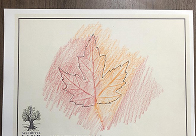 Fall Craft Idea: Leaf Rubbings!