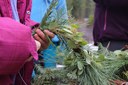 Make Your Own Wreath at Home