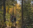It’s time to catch fleeting fall colors! It’s time to catch fleeting fall colors!