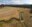 Paulina Creek Preserve Virtual Tour
