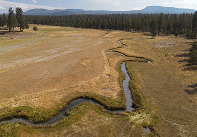 Paulina Creek Preserve Virtual Tour