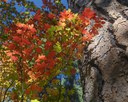 Enjoy Fall With a Hike on the Lake Creek Trail