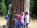 Happy Birthday to the Metolius Preserve! Happy Birthday to the Metolius Preserve!