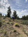 Sneaking in an Evening Hike at Whychus Canyon Preserve