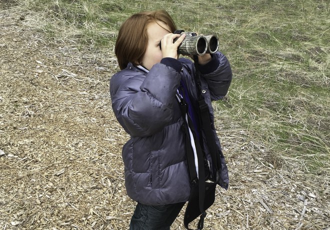 Nature Identification with Kids: Birds