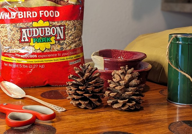 Winter Craft Idea: Birdseed Ornaments!