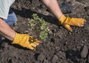 Digging Into Our Top Five Soil Facts