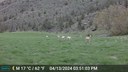 Early 2024 Wildlife Wanderings