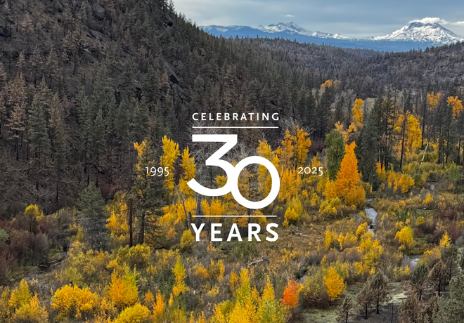 30 Ways We've Made a Difference Together