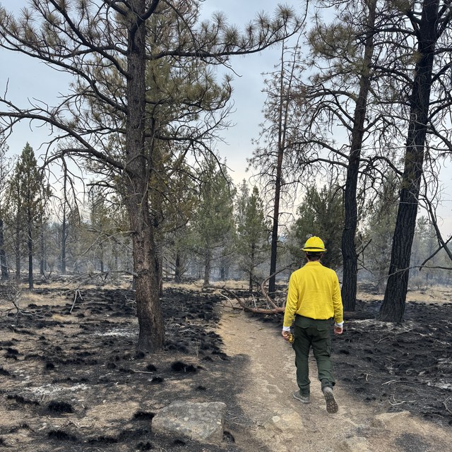Caring for the Land in Wildfire Country