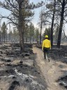 Caring for the Land in Wildfire Country