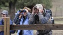 Community Science for the Birds