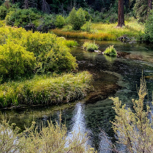 An Early Fall Hike Along the Metolius River