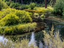 An Early Fall Hike Along the Metolius River