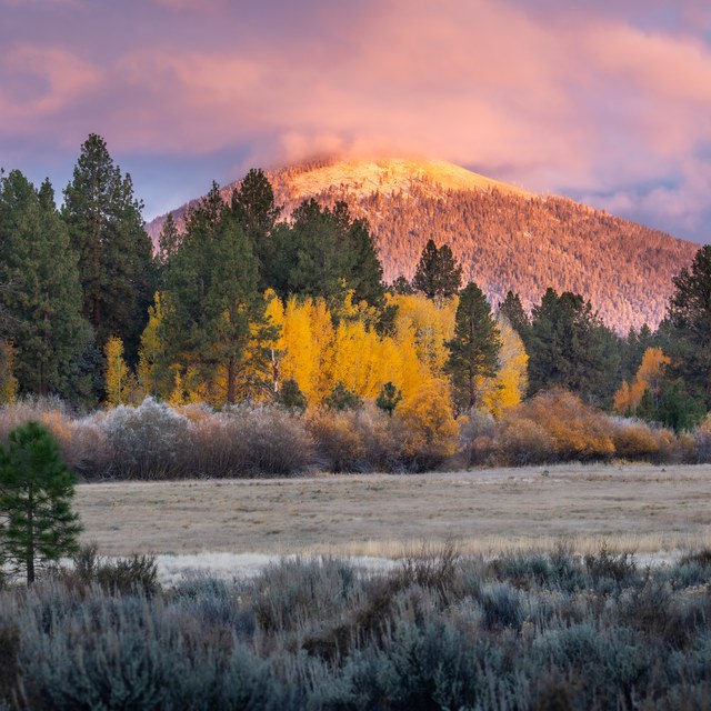 Exploring Autumn in Central Oregon Exploring Autumn in Central Oregon