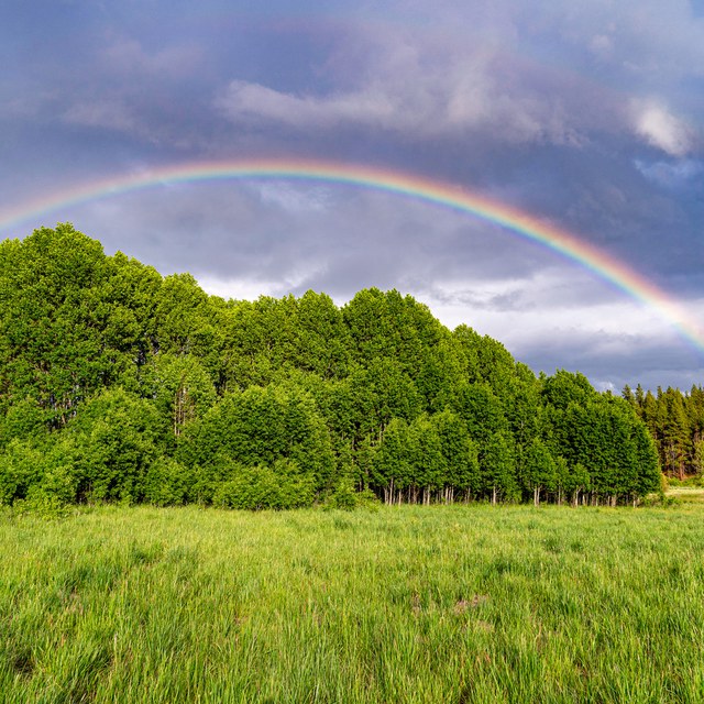 It's Time for a Rainbow Scavenger Hunt!