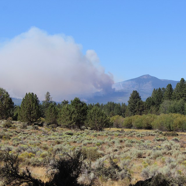 Smoky Bear Was Right—Wildfire Prevention is a Job For All of Us
