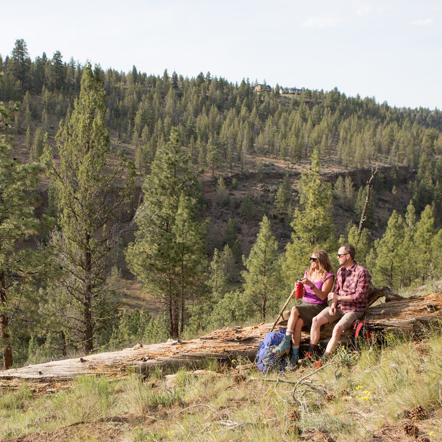 A Spring Field Guide to Whychus Canyon Preserve