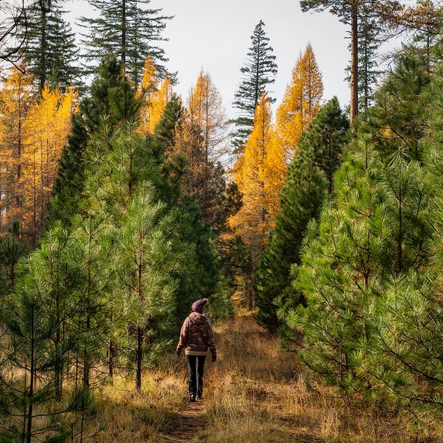 How Can I Stay Safe During Hunting Season?