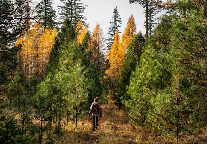 How Can I Stay Safe During Hunting Season?