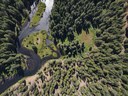 What is Carbon Sequestration? What is Carbon Sequestration?