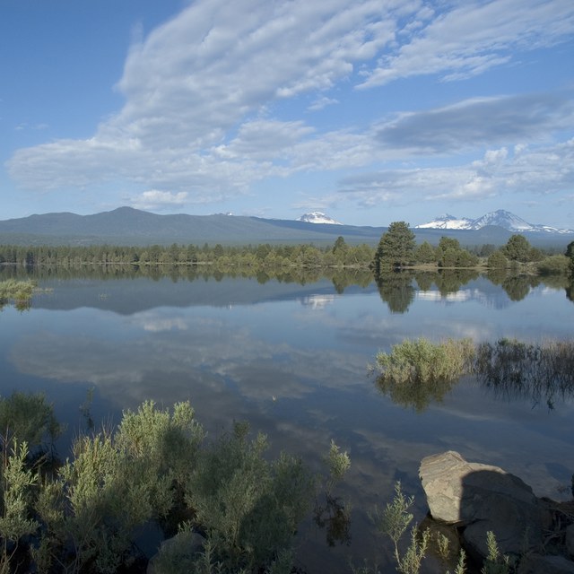 Where Does Our Water Come From?