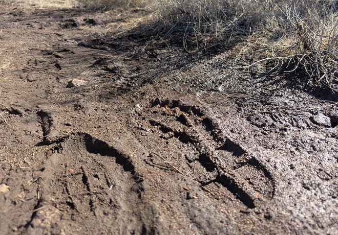 Don't Spin Your Wheels This Muddy Trails Season