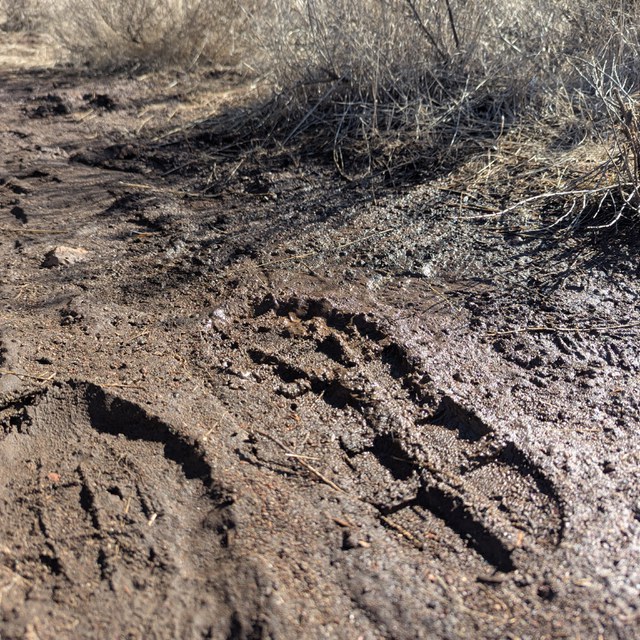 Don't Spin Your Wheels This Muddy Trails Season
