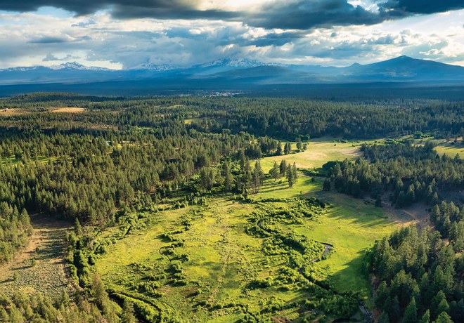 How Can You Conserve and Care for the Land with Your IRA?