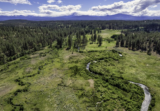 The Importance of Wet Meadows