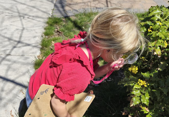 Nature Kids at Home: Hand Lens Fun!