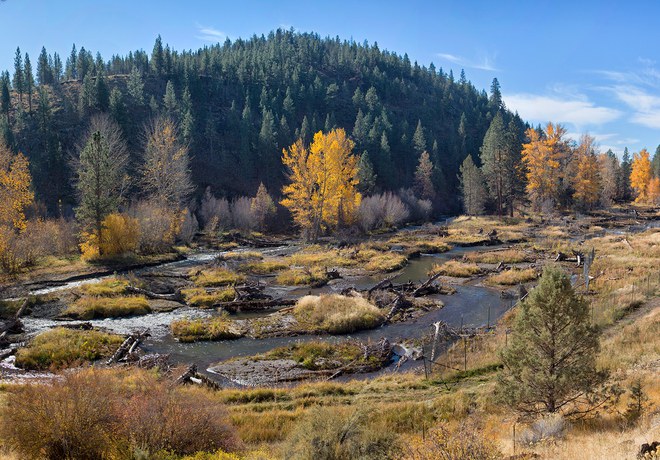 Understanding Carbon Storage