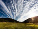 The Campaign for Whychus Creek The Campaign for Whychus Creek