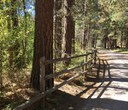 Aspen Hollow Preserve Restoration