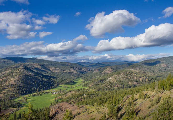 Conserving Central Oregon's Forests