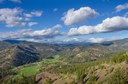 Conserving Central Oregon's Forests