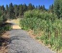 Camp Polk Meadow Preserve: new trail complete!