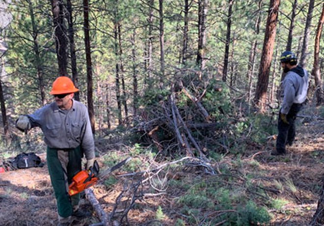 Forest Restoration Begins at Aspen Hollow Preserve
