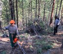Forest Restoration Begins at Aspen Hollow Preserve