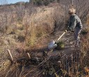 Mimicking beavers to help Whychus Creek thrive