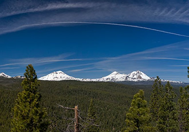 Skyline Forest for sale