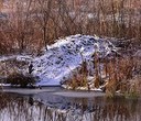 Beavers Remain Busy at Camp Polk Meadow Preserve