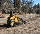 Native Plant Restoration Continues at Camp Polk Meadow Preserve