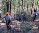 Pile burning planned for Aspen Hollow Preserve