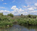 Planning for the future of Ochoco Preserve