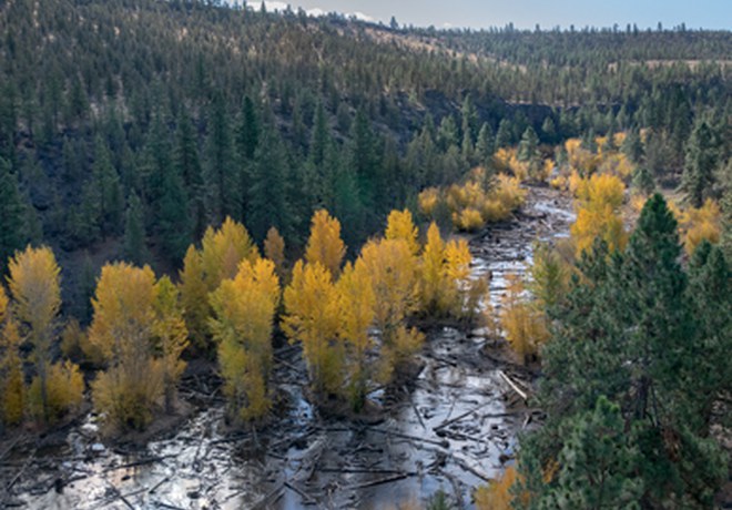 Deschutes Land Trust and Deschutes River Conservancy partner  to boost water flows in Whychus Creek