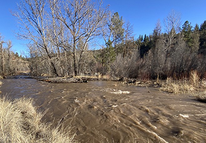 High Flows at Whychus Canyon Preserve